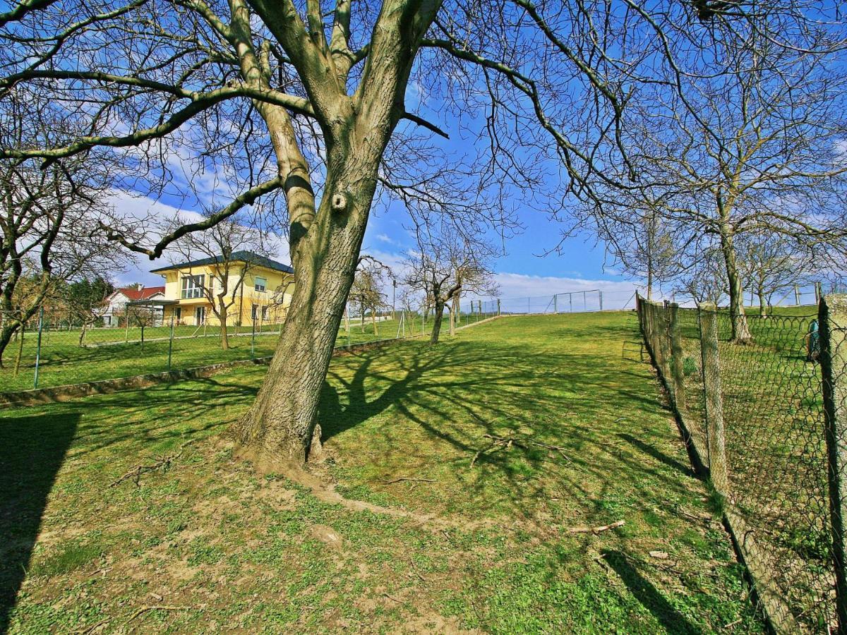 Holiday Home Friedl By Interhome Ritzing Zewnętrze zdjęcie